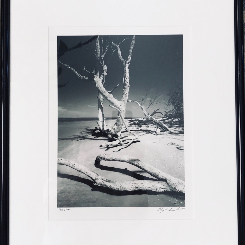 Clyde Butcher photos: Caya Costa and Moonrise.  SOLD!!!!